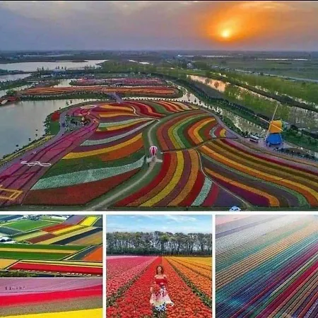 House Close To And Hoorn (North Holland)