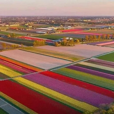 House Close To And Feriehus Hoorn (North Holland)
