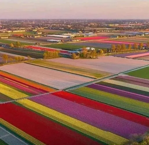 House Close To And 別荘 ホールン